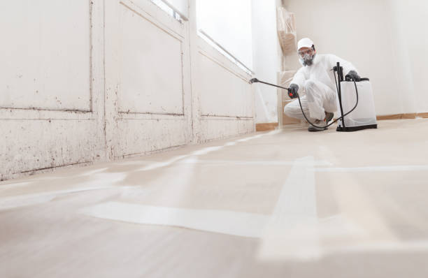 24/7 Emergency Attic Mold Remediation experts in Jeffersonton, VA
