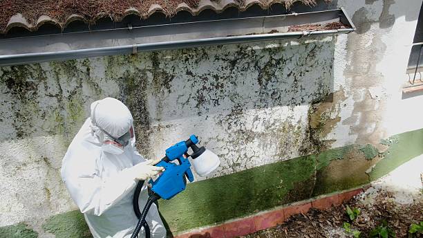 Top rated local Attic Mold Remediation specialists in Jeffersonton, VA